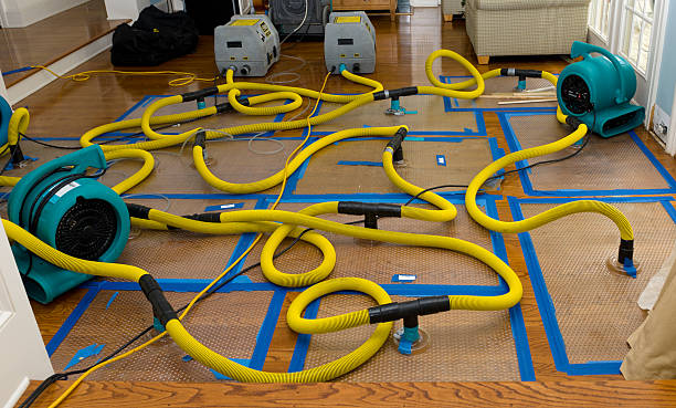 Professional Flood Damage Restoration technician working in Bellevue, ID